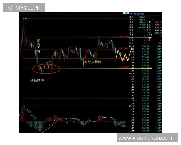 北京篮球队区域防守战术解析及其对比赛胜负的影响分析 北京篮球队区域防守战术解析及其对比赛胜负的影响分析