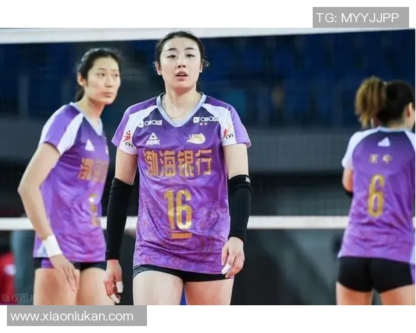 南京排球队创新高排球节奏排名引发热议与关注