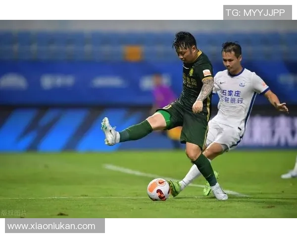 深圳排球队节奏之争引发热议球迷与专家观点碰撞