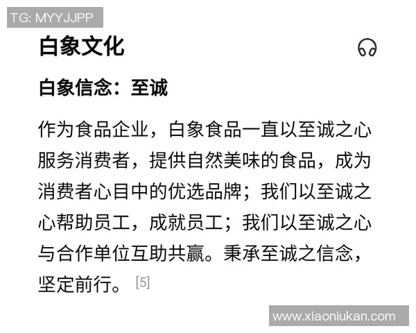 重庆足球队的成长之路:从默默无闻到璀璨辉煌的奋斗历程 重庆足球队的成长之路:从默默无闻到璀璨辉煌的奋斗历程