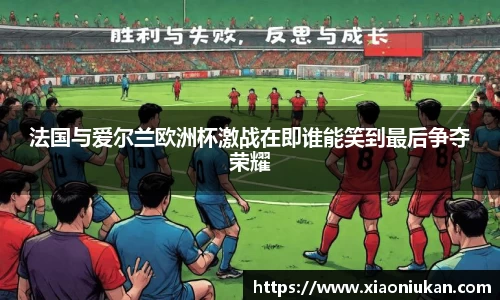 法国与爱尔兰欧洲杯激战在即谁能笑到最后争夺荣耀